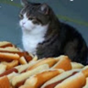 Meet your Posher, Abigail